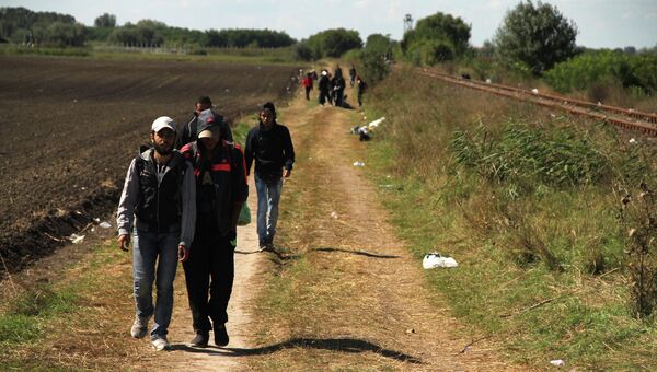 Беженцы заходят на территорию Евросоюза в Венгрии в районе села Рёске. Архивное фото