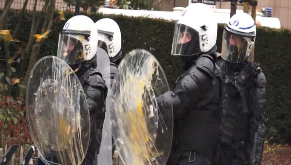 Фермеры закидали полицию яйцами и сеном на акции протеста  в Брюсселе