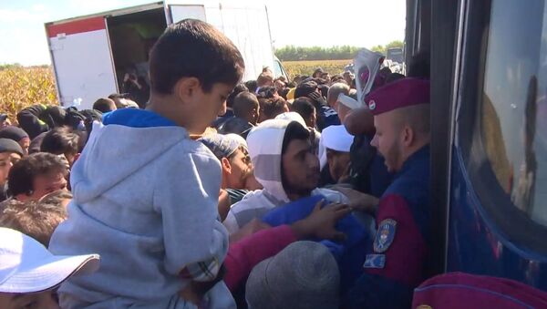 Полиция останавливала пытавшихся прорваться к автобусу мигрантов в Венгрии