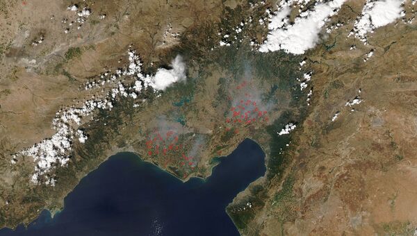 Пожары в аграрном регионе Турции зафиксировал спутник
