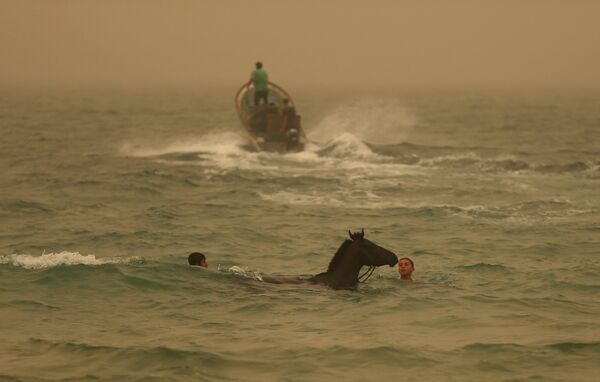 Мальчик моет лошадь в Средиземном море во время песчаной бури