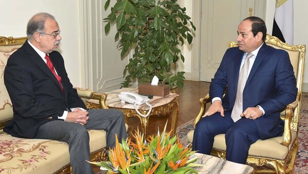 Президент Египта Абдель Фаттах ас-Сиси поручил министру нефти Шарифу Исмаилу сформировать новое правительство