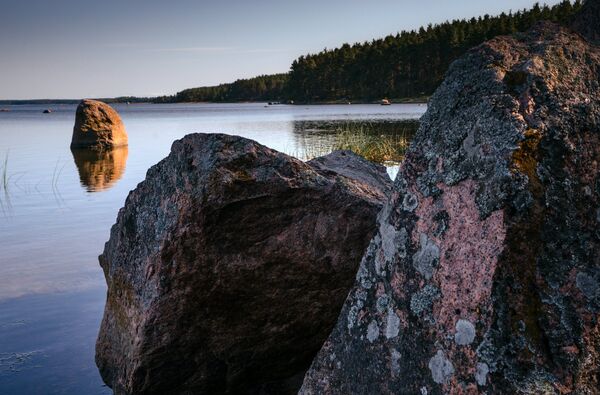 Природный заказник Березовые острова на Финском заливе