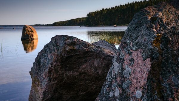 Природный заказник Березовые острова на Финском заливе. Архивное фото