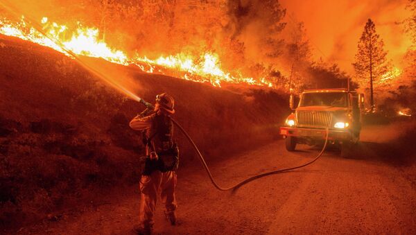 Лесной пожар в окрестностях Сан-Андреас, Калифорния, США. Архивное фото