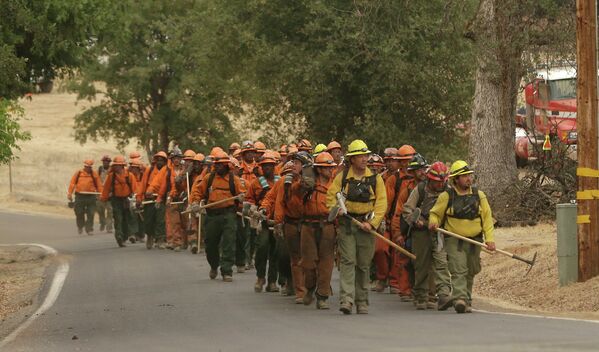 Рабочие Департамента исполнения наказаний принимают участи в тушении лесных пожаров