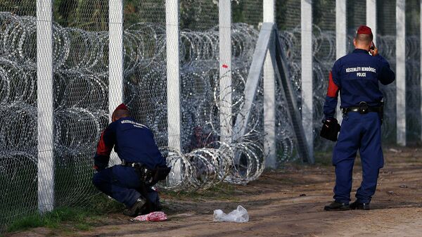 Полиция Венгрии на границе страны.