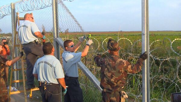 Колючая проволока и забор: Венгрия перекрыла лазейку в Европу для беженцев. Архивное фото