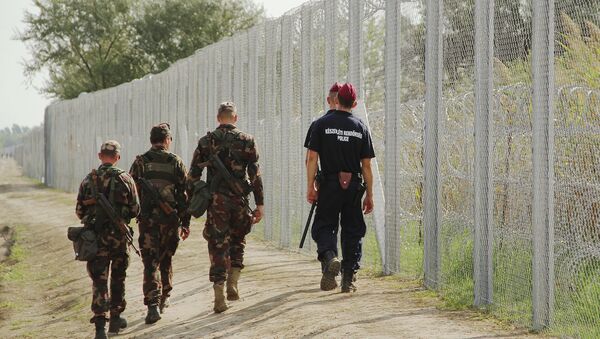 Венгерские военные и полицейские патрулируют границу. Архивное фото