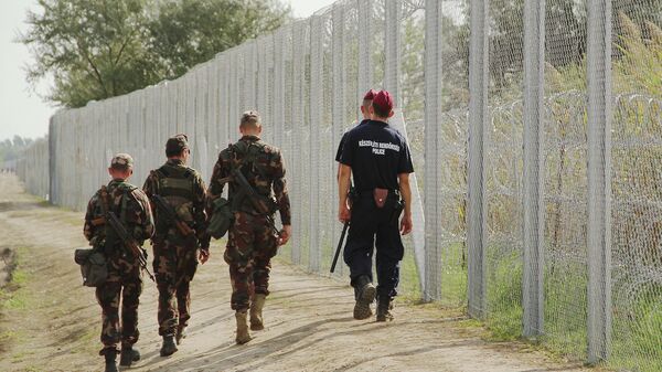 Венгерские военные и полицейские патрулируют границу