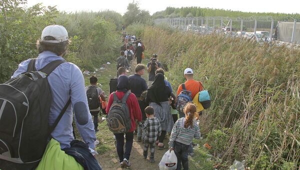 Беженцы, не успевшие перейти на венгерскую сторону, бредут вдоль границы