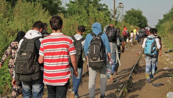 Беженцы, не успевшие пересечь границу до ее закрытия, бредут вдоль забора в поселка Реске на границе Венгрии. Архивное фото