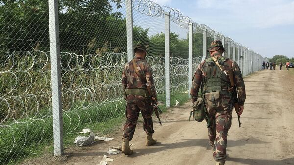 Венгерские военные патрулируют границу в районе поселка Реске, Венгрия