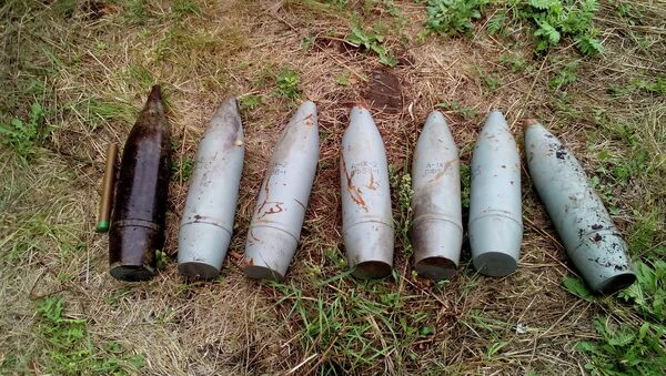 Боеприпасы, обнаруженные за сутки в ЛНР. Архивное фото