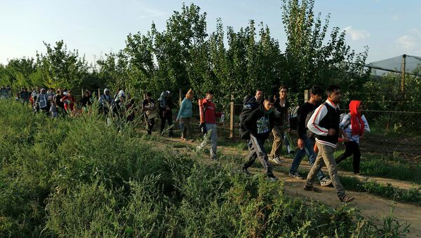 Группа беженцев двигаются в сторону границы Сербии с Хорватией. 16 сентября 2015