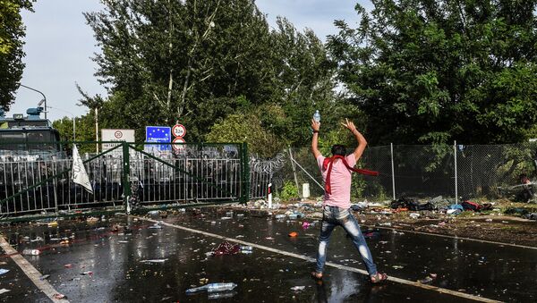 Столкновение мигрантов и полиции на границе Венгрии и Сербии. 16 сентября 2015