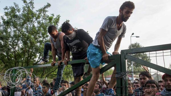 Столкновение мигрантов и полиции на границе Венгрии и Сербии. 16 сентября 2015