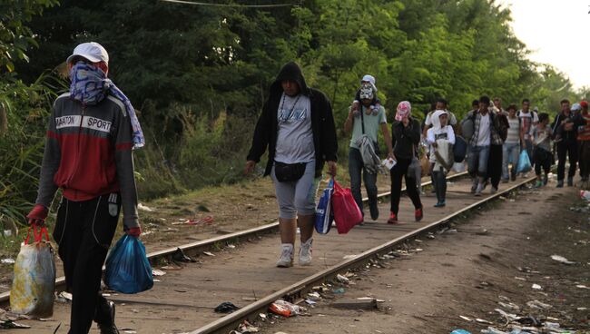 Беженцы, не успевшие пересечь границу до ее закрытия, бредут вдоль забора в поселка Реске на границе Венгрии