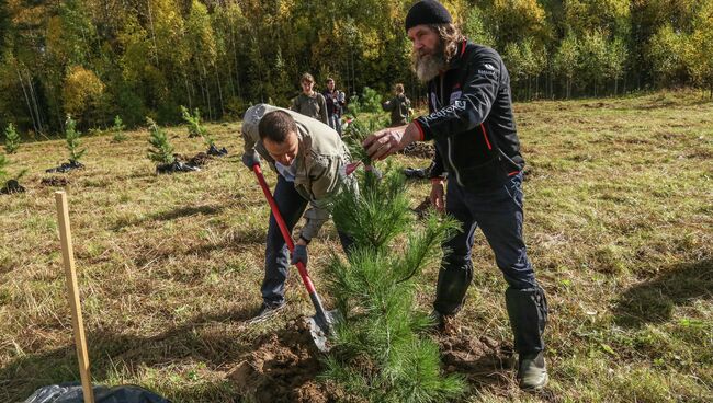 Аллея-геоглиф памяти путешественников в Тотемском районе Вологодской области