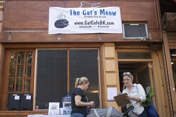 Кафе The Cat's Meow в Бруклине