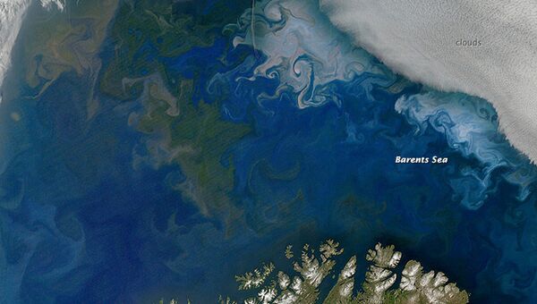 Цветение фитопланктона в Баренцевом море у берегов Норвегии и России на снимке со спутника НАСА