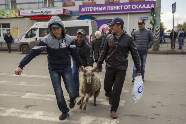 Мусульмане ведут барана во время праздника Курбан-Байрам возле Сибирской соборной мечети в Омске
