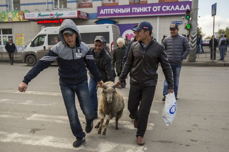 Мусульмане ведут барана во время праздника Курбан-Байрам возле Сибирской соборной мечети в Омске