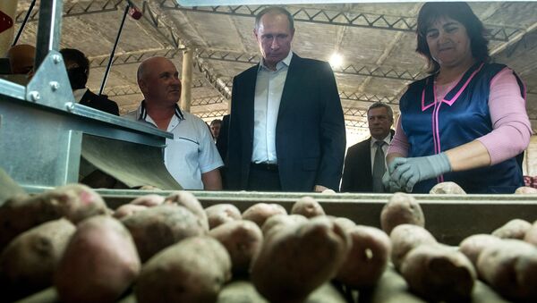 Президент России Владимир Путин во время осмотра хранилища крестьянского хозяйства. Архивное фото