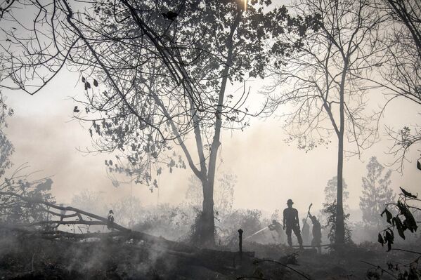 Индонезийские полицейские принимают участие в тушении торфяных пожаров на Суматре