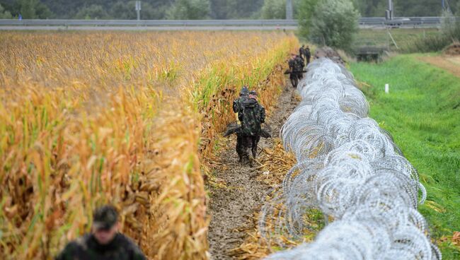 Колючая проволока на границе Венгрии и Словении