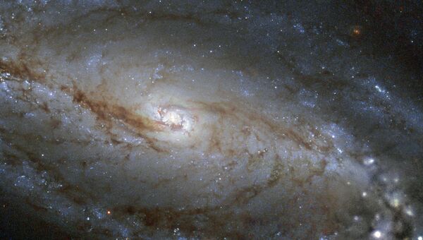Фотография галактики NGC 613