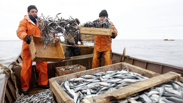 Активы дальневосточных рыбопромышленников перешли в собственность России