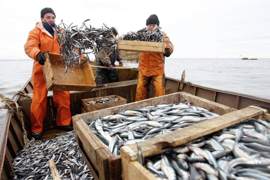 Сообщество Кольских рыбаков в Контакте | Клуб рыболовов Кольского полуострова