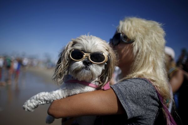 Женщина с собакой на Surf City Surf Dog Contest в Хантингтон-Бич, Калифорния