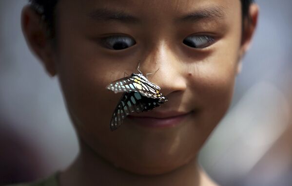 Мальчик на выставке бабочек в парке в Куньмин, провинции Юньнань, Китай