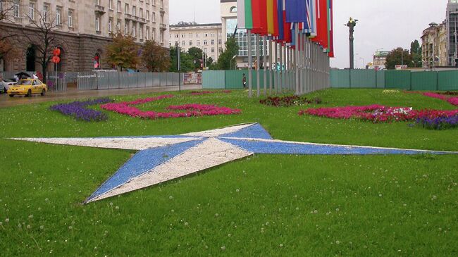 Эмблема и флаги стран-членов НАТО в Софии, Болгария. Архив