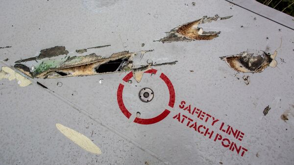 Возможные повреждения от авиационной пушки или осколков ракеты на крыле потерпевшего крушение лайнера Boeing 777 Малайзийских авиалиний в районе села Рассыпное Донецкой области. Архивное фото