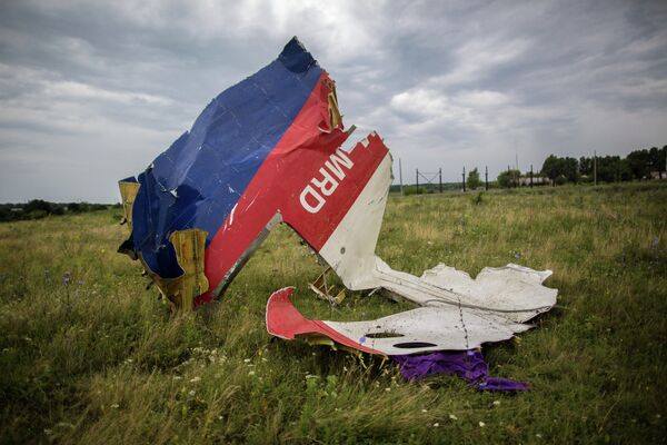 Обломки лайнера Boeing 777 Малайзийских авиалиний, потерпевшего крушение в районе города Шахтерск Донецкой области