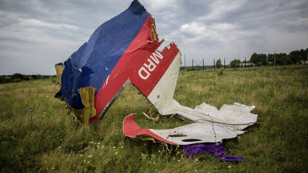 Обломки лайнера Boeing 777 Малайзийских авиалиний, потерпевшего крушение в районе города Шахтерск Донецкой области. Архивное фото