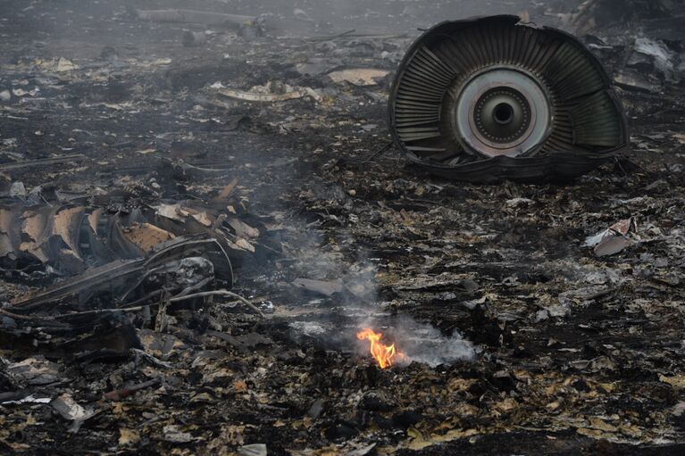 На месте крушения малайзийского самолета Boeing 777 в районе города Шахтерск Донецкой области