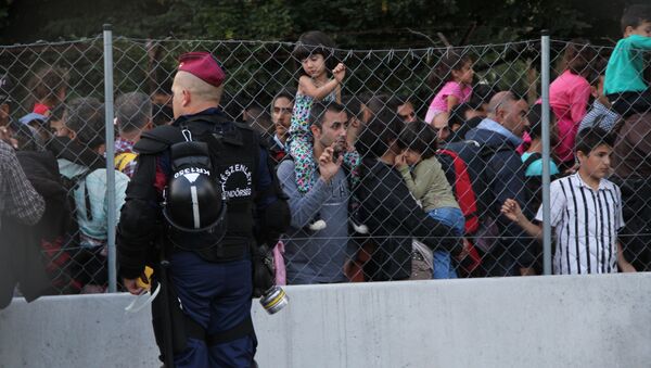 Беженцы пересекают границу в районе поселка Реске (Венгрия)