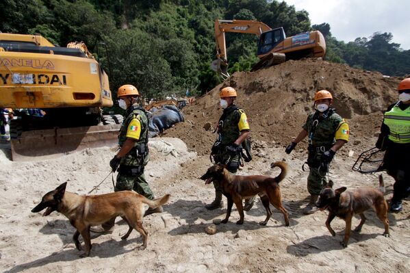 Мексиканские военные спасатели с собаками на месте оползня в районе поселка Санта-Катарина-Пинула, Гватемала