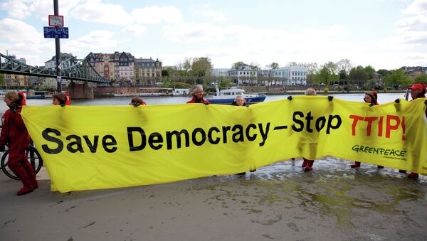 Акции протеста против соглашений о трансатлантической торговле в Европе. Архивное фото