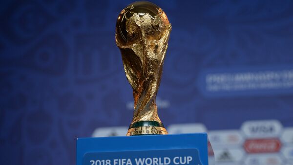 Кубок чемпионата мира 2018 по футболу. Архивное фото