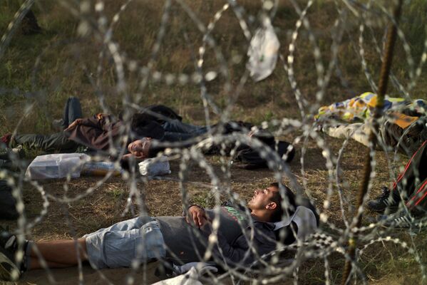 Мигранты из Афганистана на границе Венгрии и Сербии