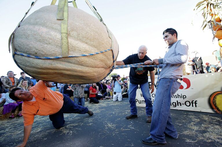 Ежегодный чемпионат по взвешиванию тыквы Safeway World Championship Pumpkin. Калифорния, 12 октября 2015