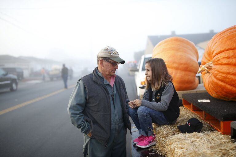 Ежегодный чемпионат по взвешиванию тыквы Safeway World Championship Pumpkin. Калифорния, 12 октября 2015