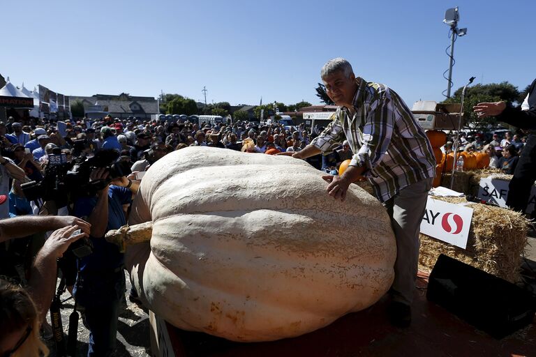 Ежегодный чемпионат по взвешиванию тыквы Safeway World Championship Pumpkin. Калифорния, 12 октября 2015