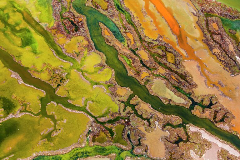 Снимок-победитель в категории From the Sky winner The art of algae испанского фотографа Pere Soler