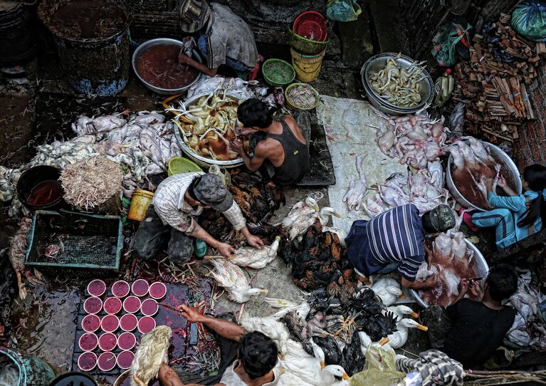 Снимок Poultry Prepared for Market фотографа Peter Graney